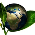 Low Carbon Society