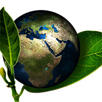 Low Carbon Society