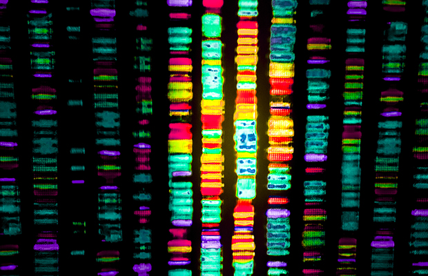DNA sequence 