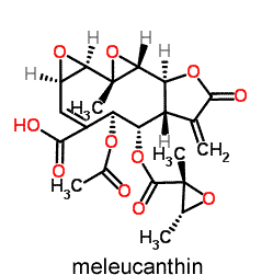 Maleucanthin