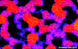 mesoscopic gel