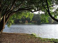 Mount Stewart lake (picture by Caroline Hornet)