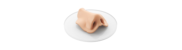 Nose concept