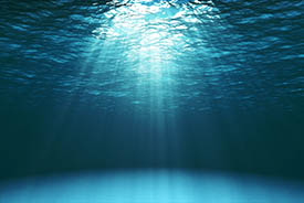Ocean