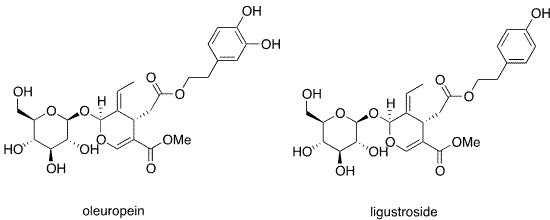 oleuropein liustrocide