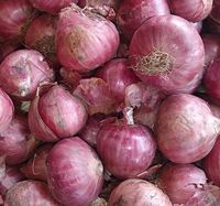 onion