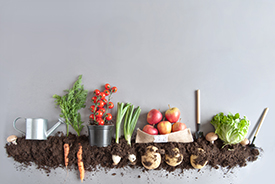 /-/media/images/general/o/organic-food-image.ashx?h=184&w=275&hash=D229160D307C0C350BCDC752264B1F4C