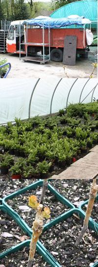 Professional Horticulture Group South West Poole - Peter Grimbly