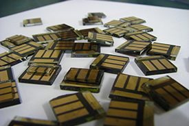 perovskite solar cells