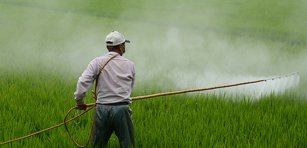 pesticide spraying