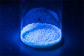 photocatalyst