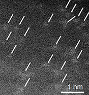 TEM image of Pd atoms