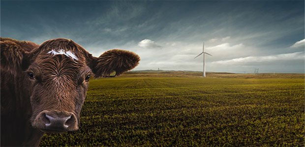 renewable energy