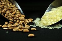 rice and beans