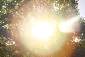 /-/media/images/general/s/sunshine-1.ashx?h=185&w=275&hash=92972CFCF445AC4A2BDB784BE21FFDA6