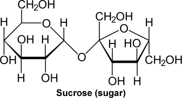 sucrose