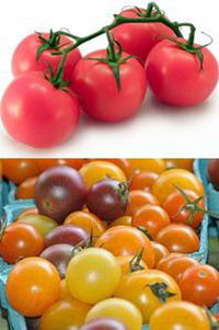 coloured_tomatoes (top) - Alina Zienowicz - CC-BY-SA,(bottom) - jammmick - CC-BY