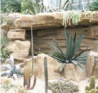 Wisley rocks - Basher Eyre 