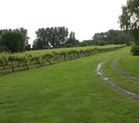 wraxall