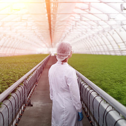 /-/media/images/group-pages/agrifood/sciwebigagrifoodearlyc.ashx?h=417&w=417&hash=ADE677A951E57F1863C9E620D624FFAA