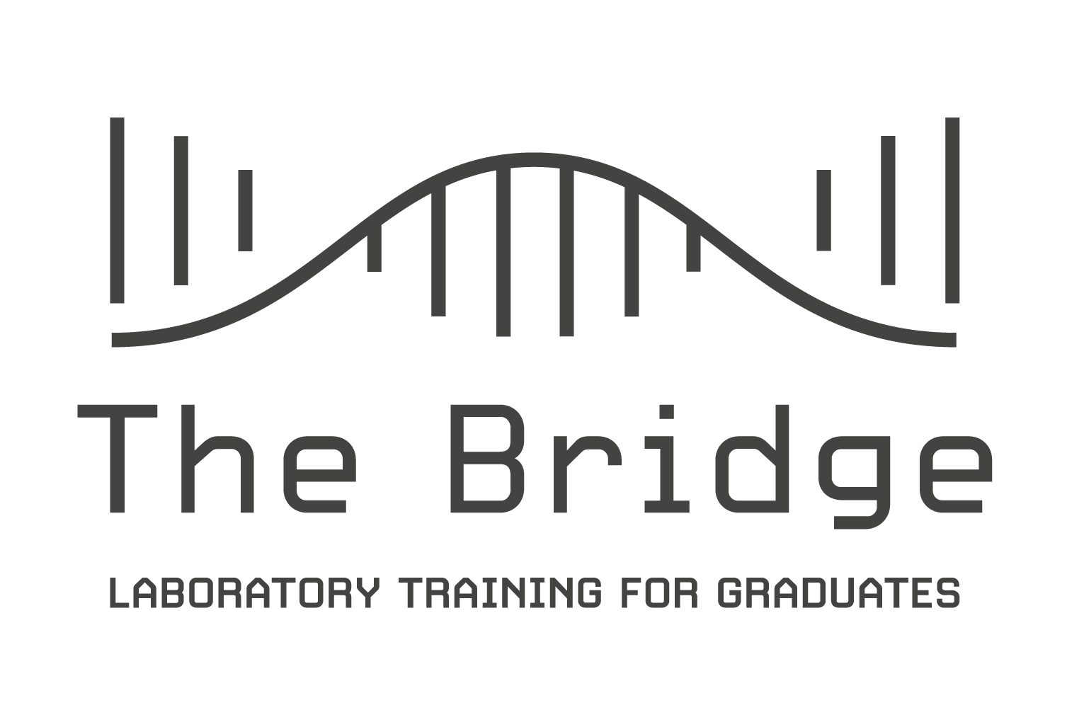 the Academia Industry Bridge logo