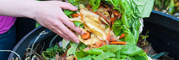 SCI PoliSCI newsletter 5th October 2020 - image of food waste