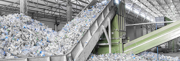 SCI PoliSCI newsletter 27th October 2020 - image of plastics recycling shoot