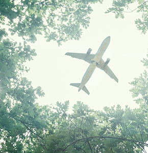 /-/media/images/news/2020/7/aeroplaneflyingabovetreeslanding.ashx?h=300&w=290&hash=02FF6763FA033AEC32902B60A9D30E76