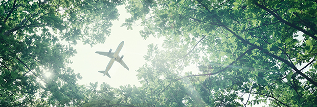 Aeroplane flying over trees