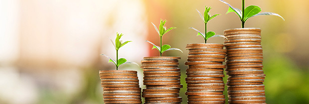 Stack of coins with seeds growing out of the top of each stack