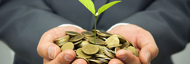 SCI PoliSCI newsletter 22nd September 2020 - image of business man holding seedling in palms