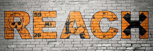 SCI PoliSCI 11 January 2021 - image of a graffiti drawing of UK REACH