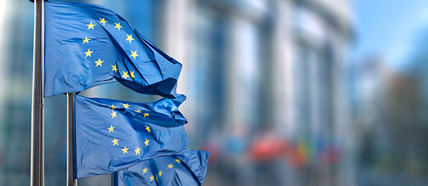 PoliSCI Newsletter - 7 December 2021 - image of EU flags