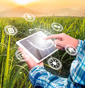 /-/media/images/news/2021/2/smartphonewithsmartagriculturetechnologyconceptsugarcanelanding.ashx?h=300&w=290&hash=ADD29589F876B00A0C3147D706407BC5