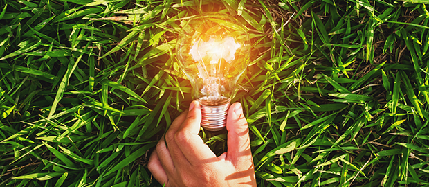 SCI PoliSCI newsletter 16 March 2021 - image of a lightbulb on grass