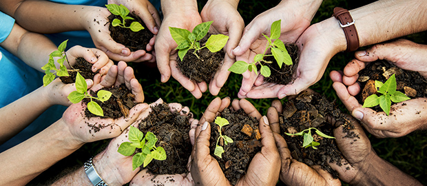 SCI PoliSCI newsletter 23 March 2021 - image of a people's hands cupping plants