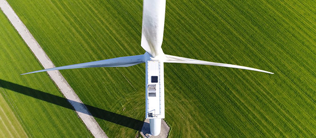 PoliSCI newsletter 9 March 2021 - Net Zero - image of a wind turbine