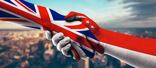 PoliSCI 13 April 2021 - UK - Singapore university alliance - image of handshake with hand painted UK and Singaporean flag