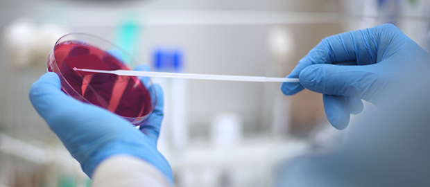 SCI PoliSCI newsletter - 15 July 2021 - image of researcher with petri dish