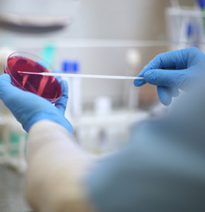 /-/media/images/news/2021/6/scinews_11062021_laboratory_disease_detection_listing.ashx?h=300&w=290&hash=575696E3E4FD9B26971B22A99D3695D0