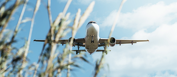 SCI Newsletter - PoliSCI - 6 July 2021 - image of a plane above