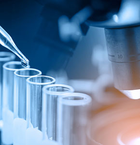 /-/media/images/news/2021/8/microscopewithlabglasswarelanding.ashx?h=300&w=290&hash=717885E8B1EF6D870F9E46CB0D9455B62E79E0F7