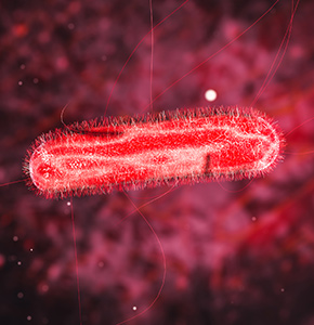 /-/media/images/news/2021/9/scinews_140921_infections_listing.ashx?h=300&w=290&hash=D353DA628C92413F4DA31300058BCCBB4B8F2362