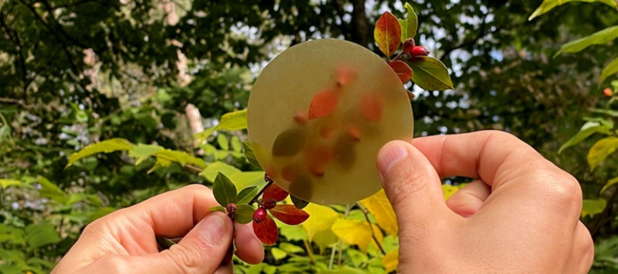 SCI News - 28 October 2022 - image of degradable plastic from wood