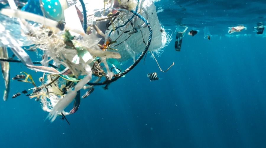 SCI News - 4 November 2022 - image of plastics caught in net floating in ocean