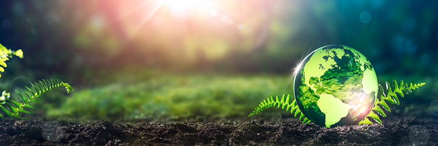 SCIWeek - 20 December 2022 - image of green globe on forest floor