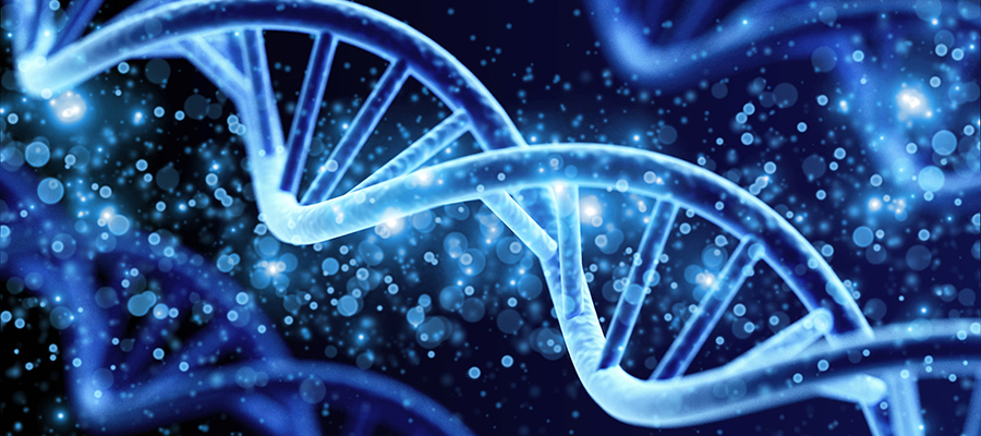 SCIWeek - 20 December 2022 - image of DNA helix