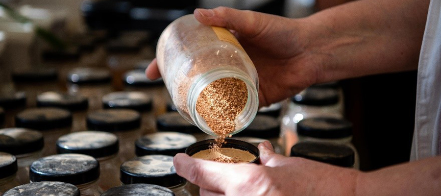 The ANSIS project brings together Australian soil data from a range of sources. Credit: CSIRO/Stuart Walmsley.