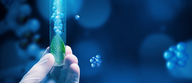 SCI Newsletter - PoliSCI - 19 May 2022 - Engineering Biology
