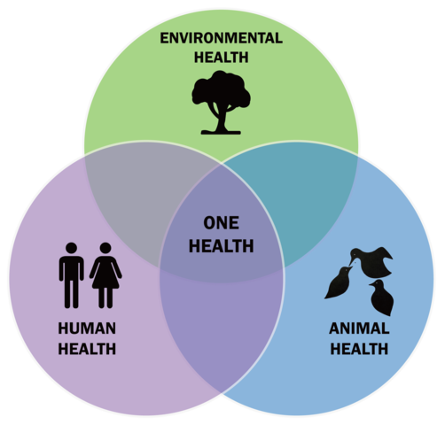 SCI News - 8 June 2022 - image of venn diagram with environmental health, animal health and human health overlapping. Gene health in the middle.